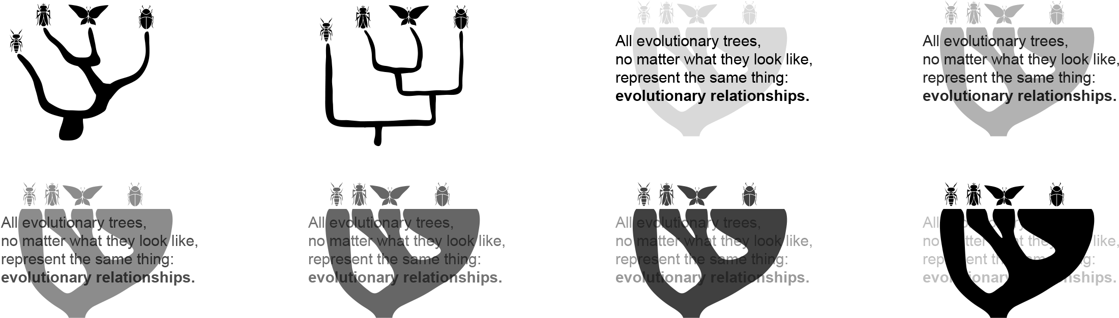 Human Evolution Png (2420x716), Png Download