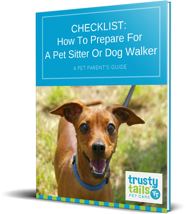 Our Free Ebooks (800x800), Png Download