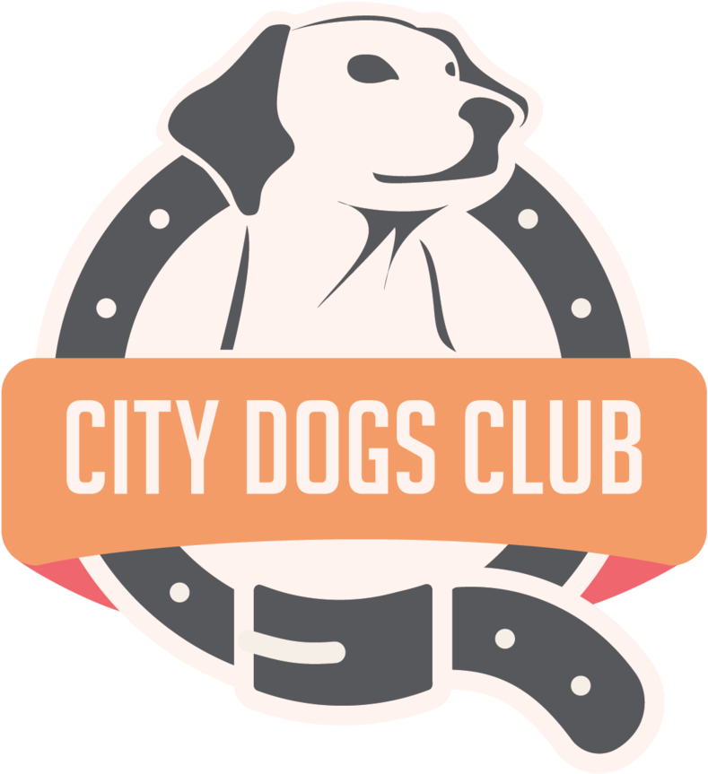 Dog Walker Png (1000x997), Png Download