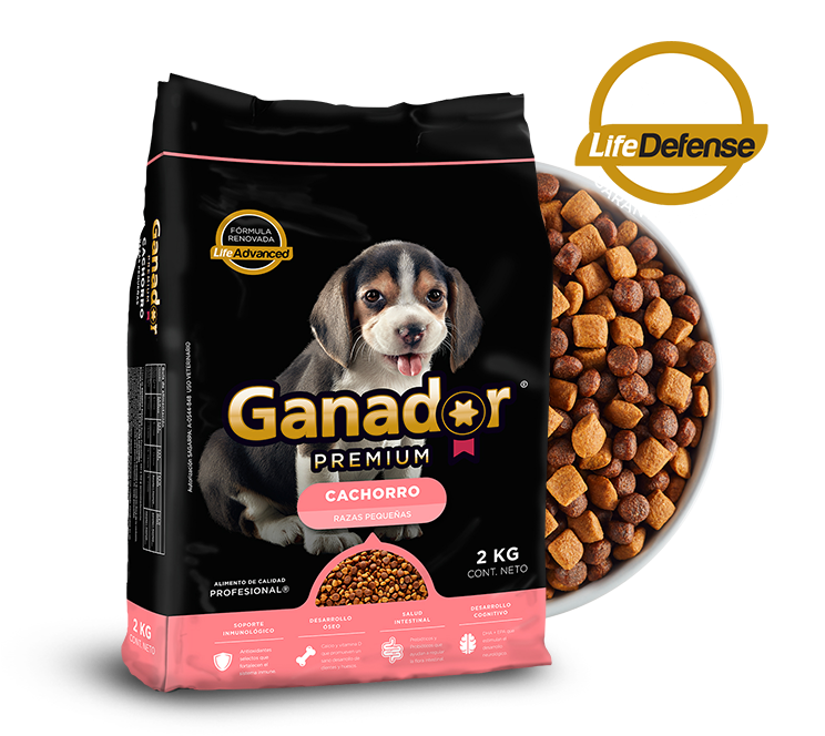 Ganador Png (761x675), Png Download