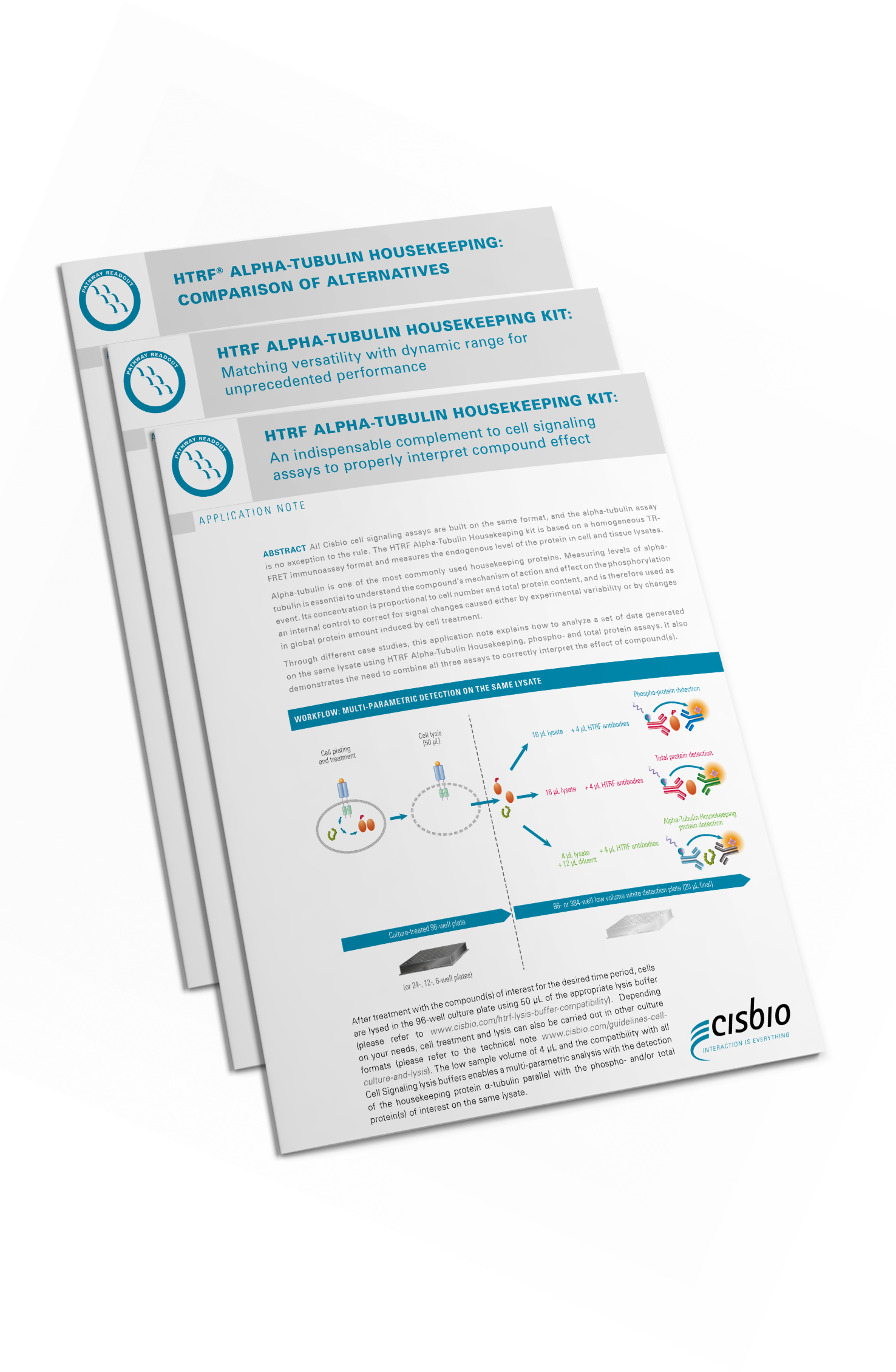 Discover The Benefits Of Using The Htrf Α-tubulin Housekeeping (1476x2259), Png Download