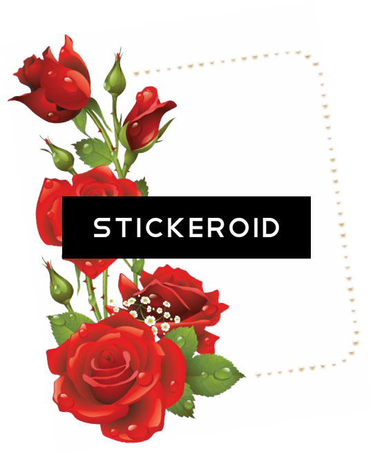 Red Flower Frame Border Frames (540x658), Png Download
