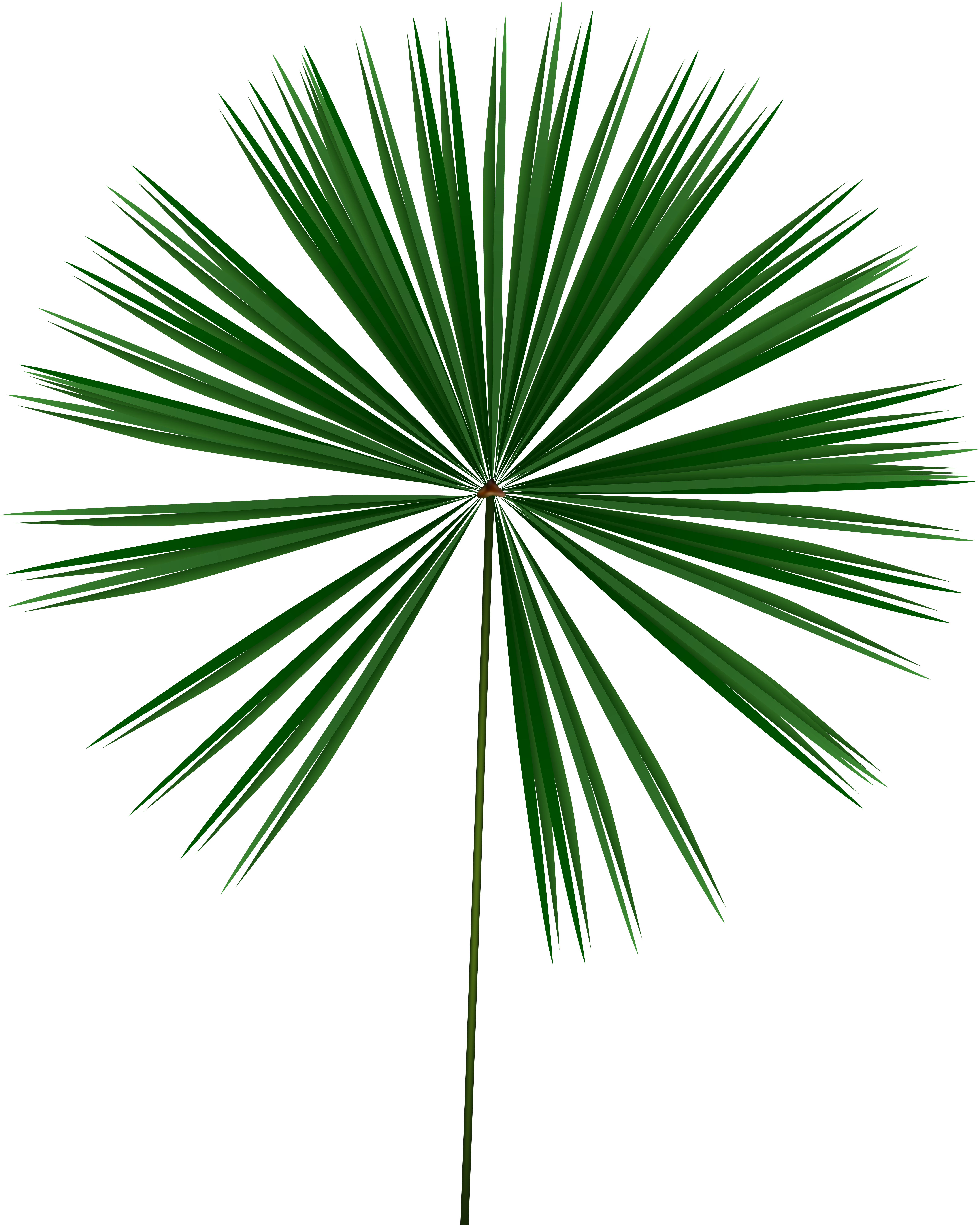 White Leaf Png (6400x8000), Png Download
