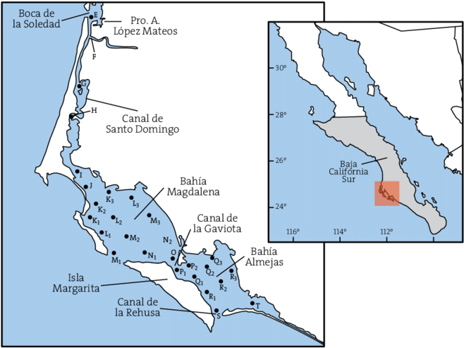 Localización De Las Estaciónes De Muestreo Dentro Del (850x537), Png Download