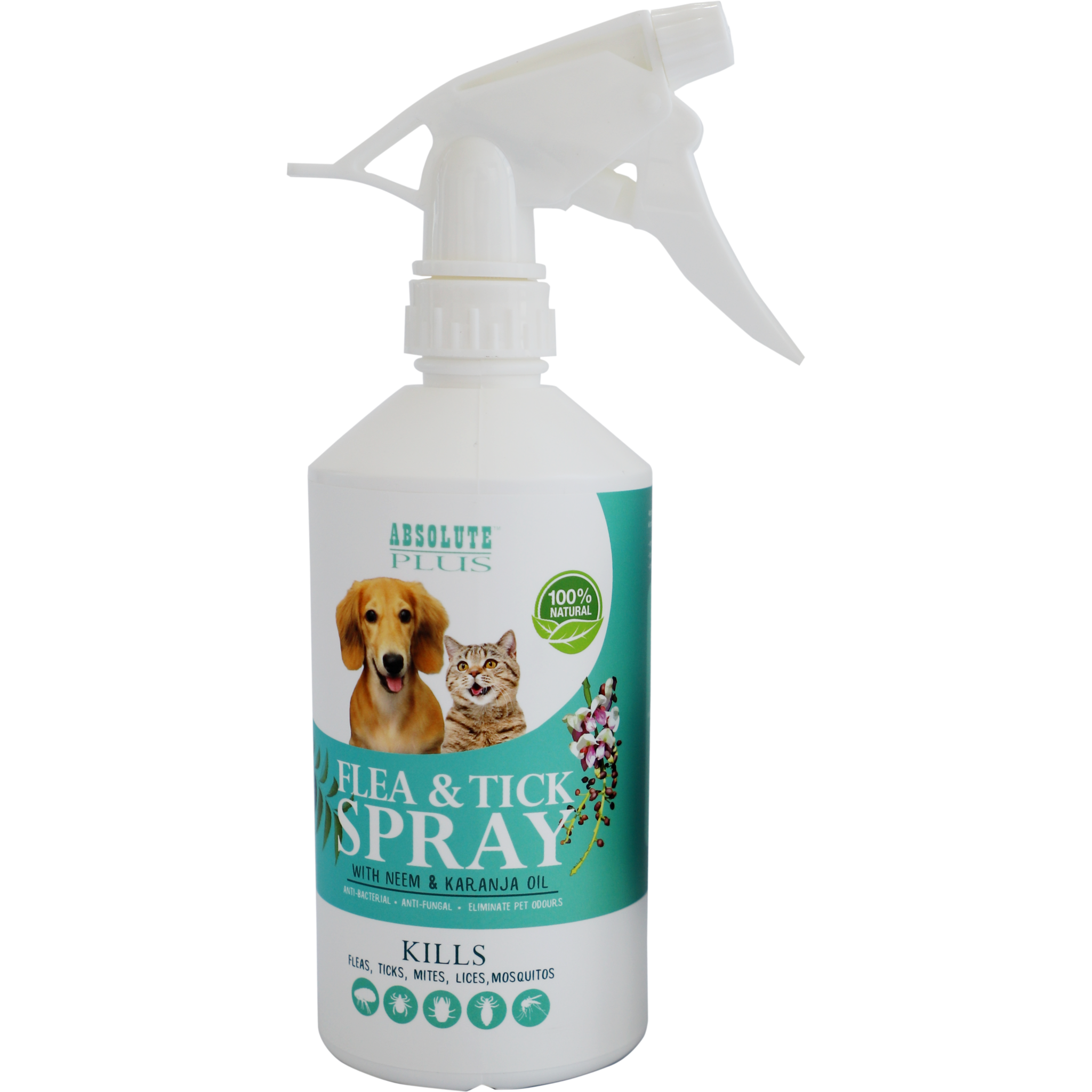 Sale (2048x2048), Png Download