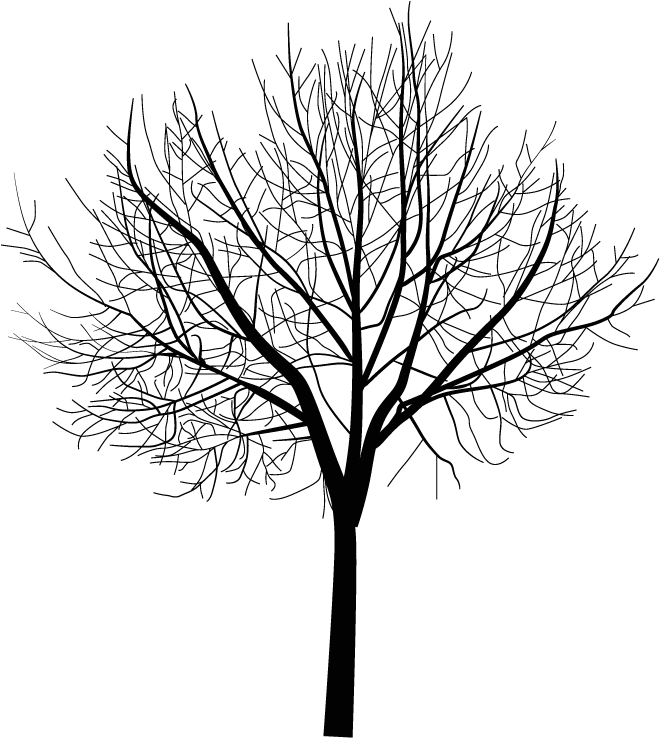 Arbre Hiver Png (766x792), Png Download