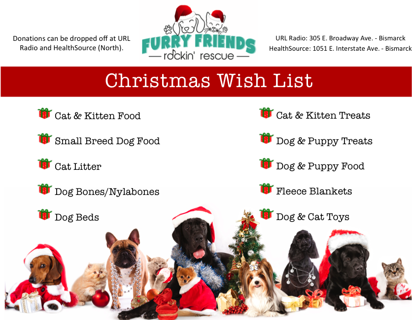 Christmas Wish List (873x696), Png Download