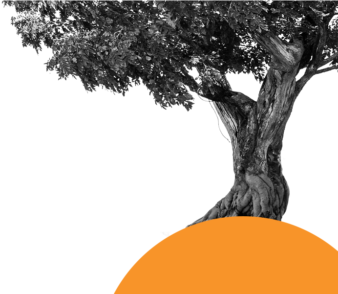 A Culture Bearing Values And Pillars On Which The Organisation (836x600), Png Download