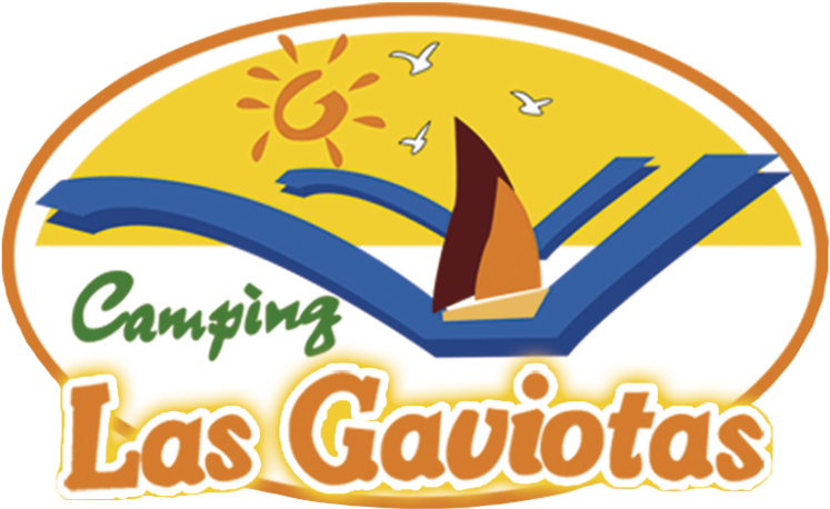 Gaviotas Png (768x577), Png Download