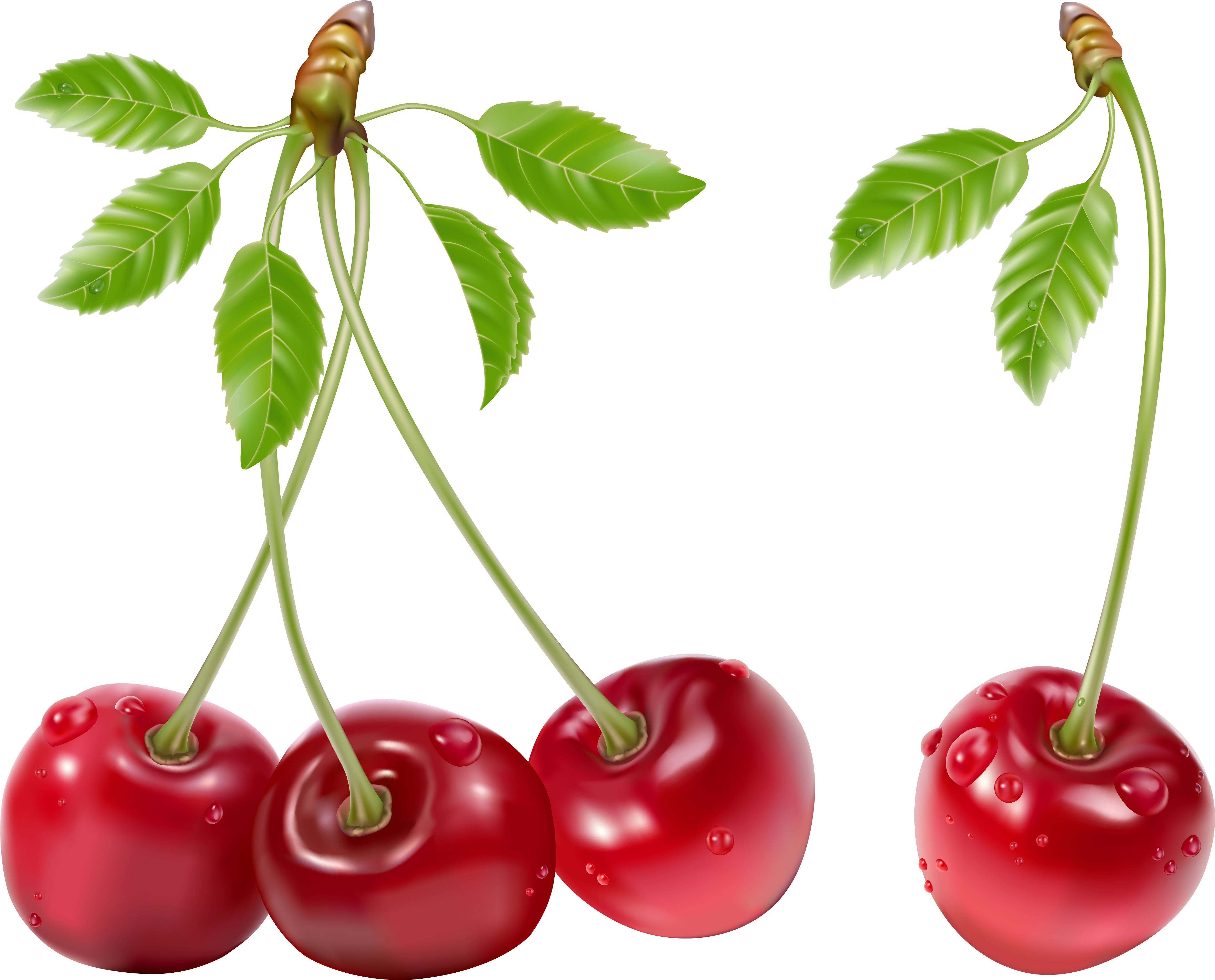 Cherry Png (4744x3884), Png Download