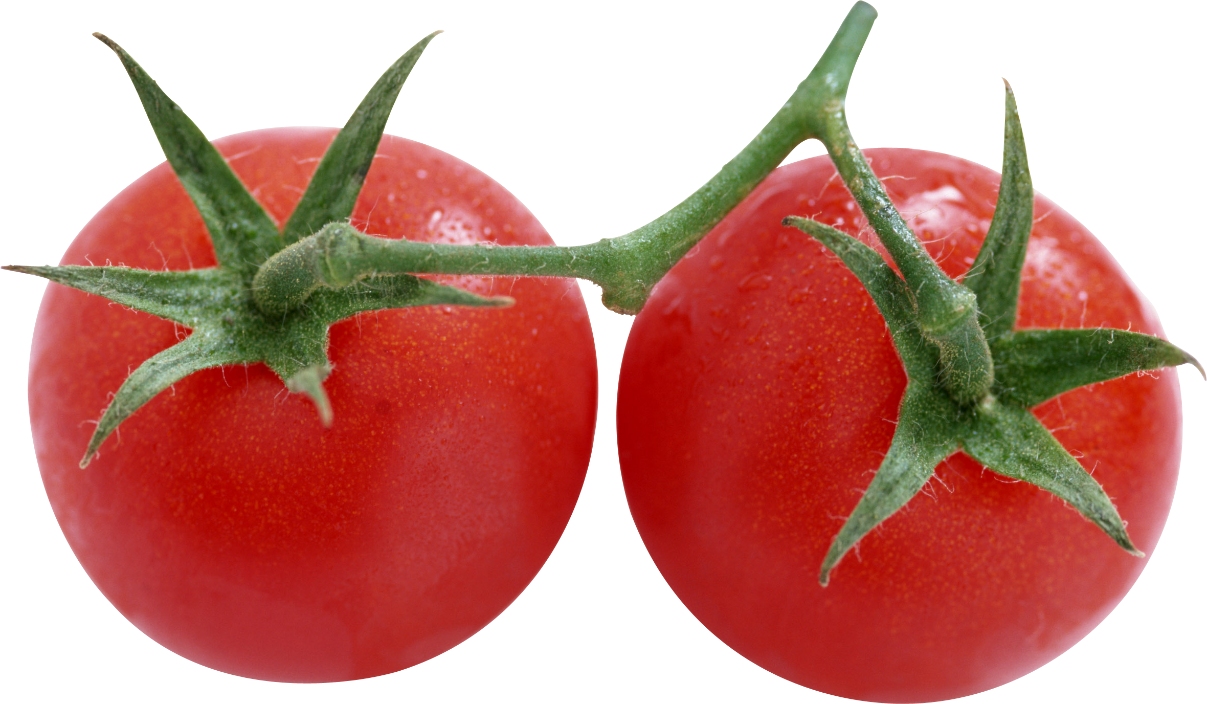 Tomato Png - 2 Tomatoes Png (2360x1376), Png Download
