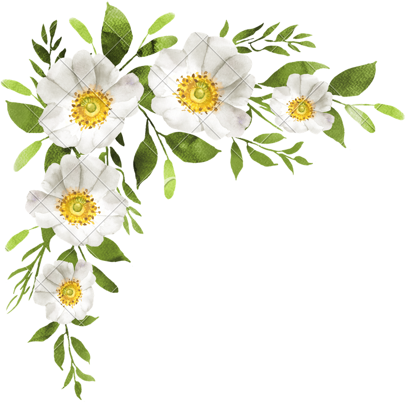 White Flowers Decoration Photos - Water Color Flower Bouquet (800x792), Png Download