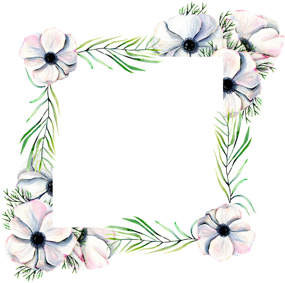 Hand Painted Diamond Flower Frame Png Transparent - Marcos De Hojas Blancas (1024x1024), Png Download