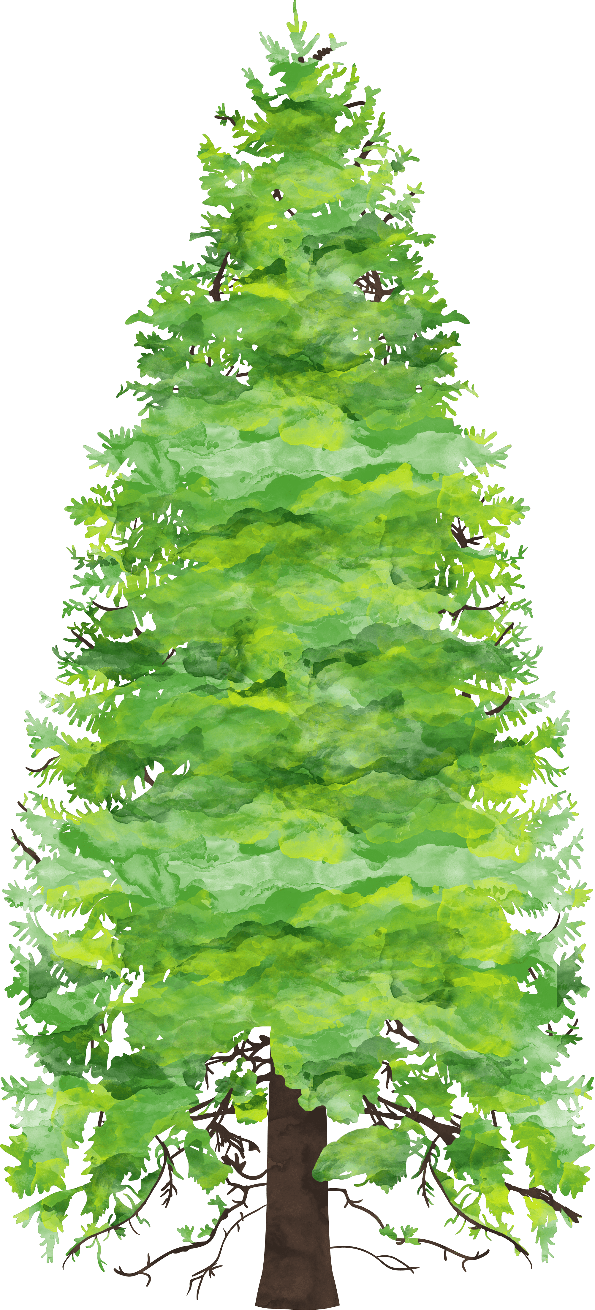 Forest Preschool & Kindergarten 2018-2019 - Child (2004x4412), Png Download