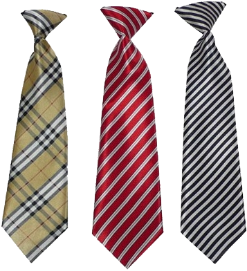 Tie Png Image - Mens Tie Png (396x406), Png Download