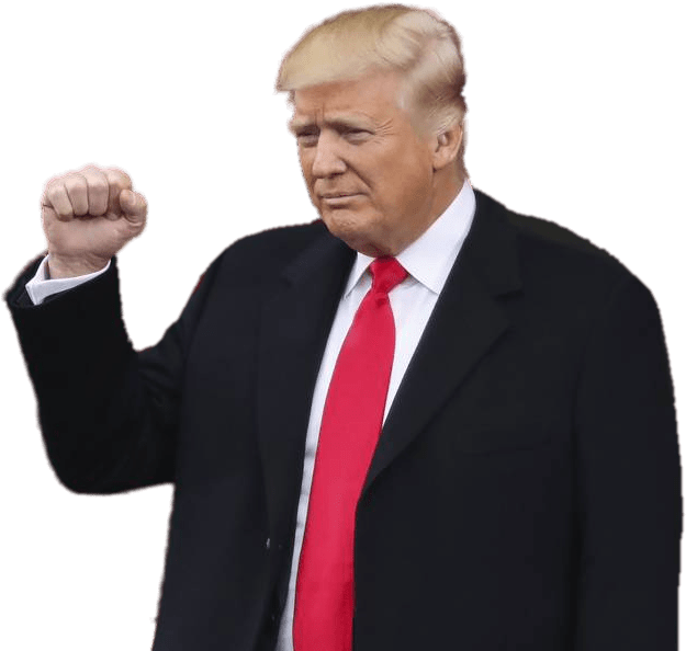 Donald Inauguration Transparent Png Stickpng - Donald Trump Png (641x593), Png Download