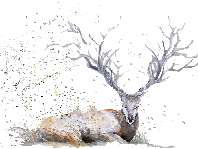 Png Deer Antlers - Expressive Watercolor Animal Paintings (768x637), Png Download