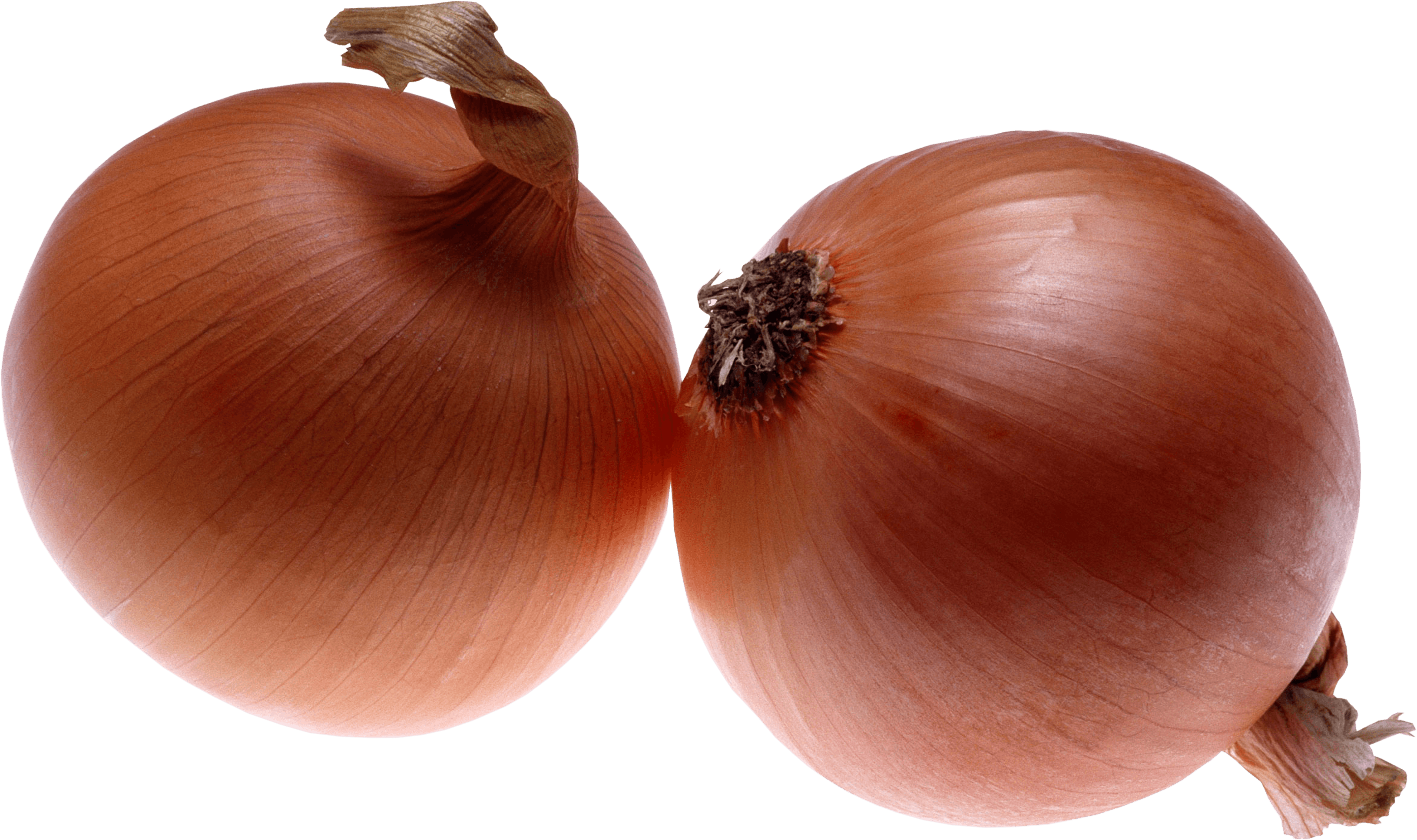 Onion - 2 Onions Png (3262x1935), Png Download
