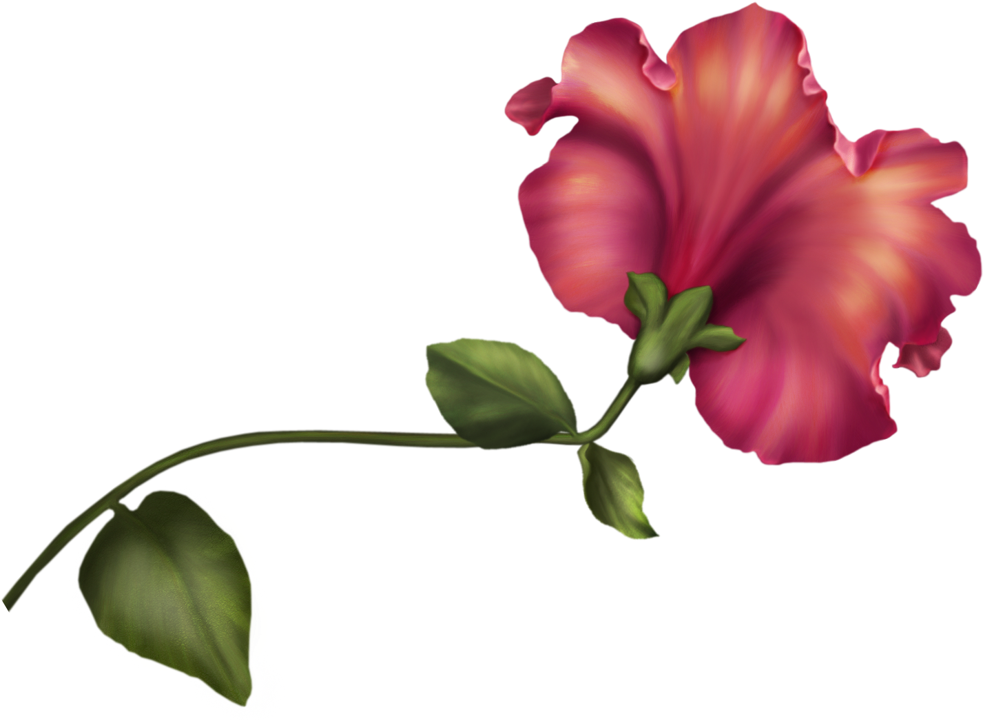 Png's Png Flowers Watercolor Flower Clip 1342 Art Vintage - Vintage Flower Clipart Png (1463x1058), Png Download