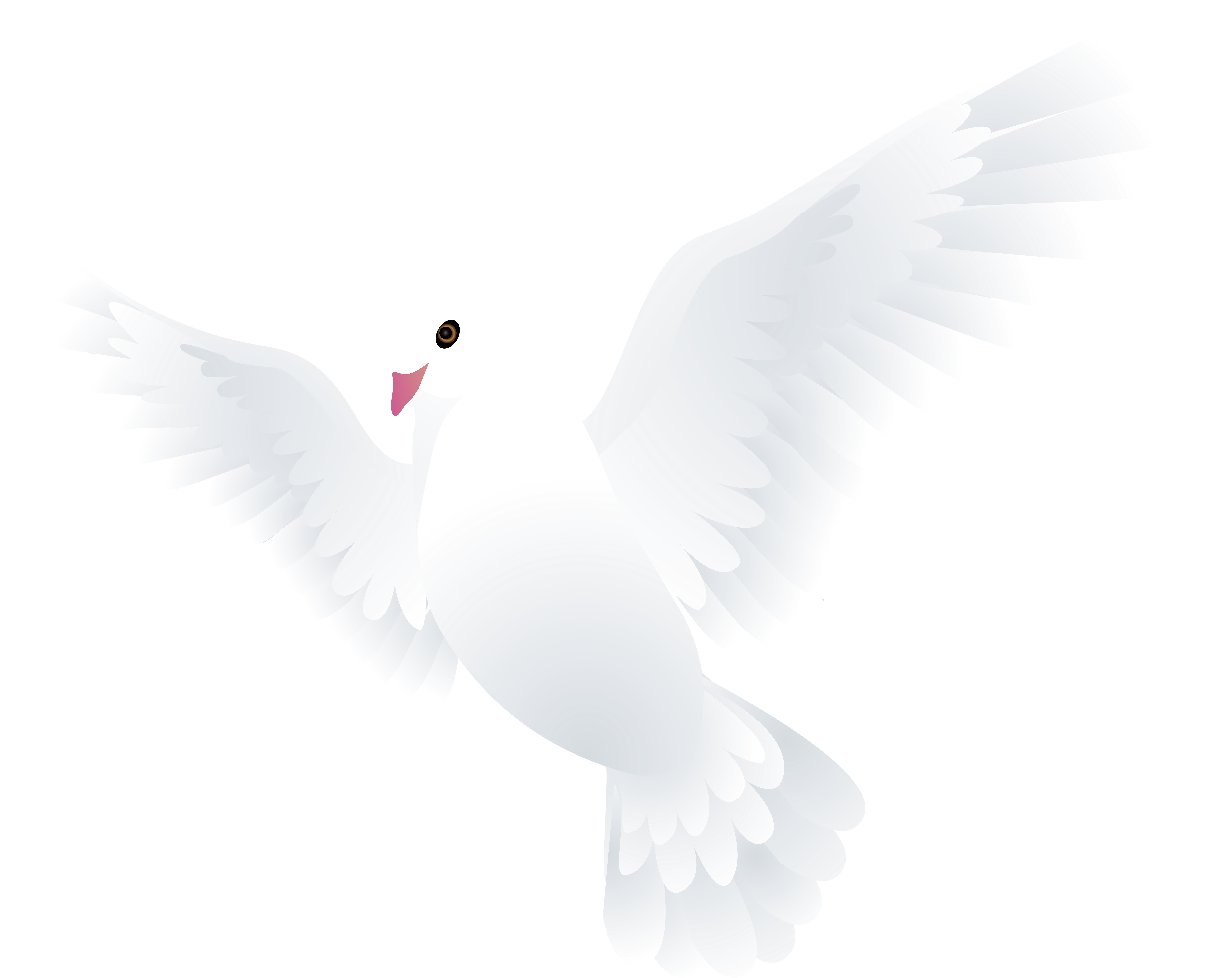 Doves Png (8000x6354), Png Download