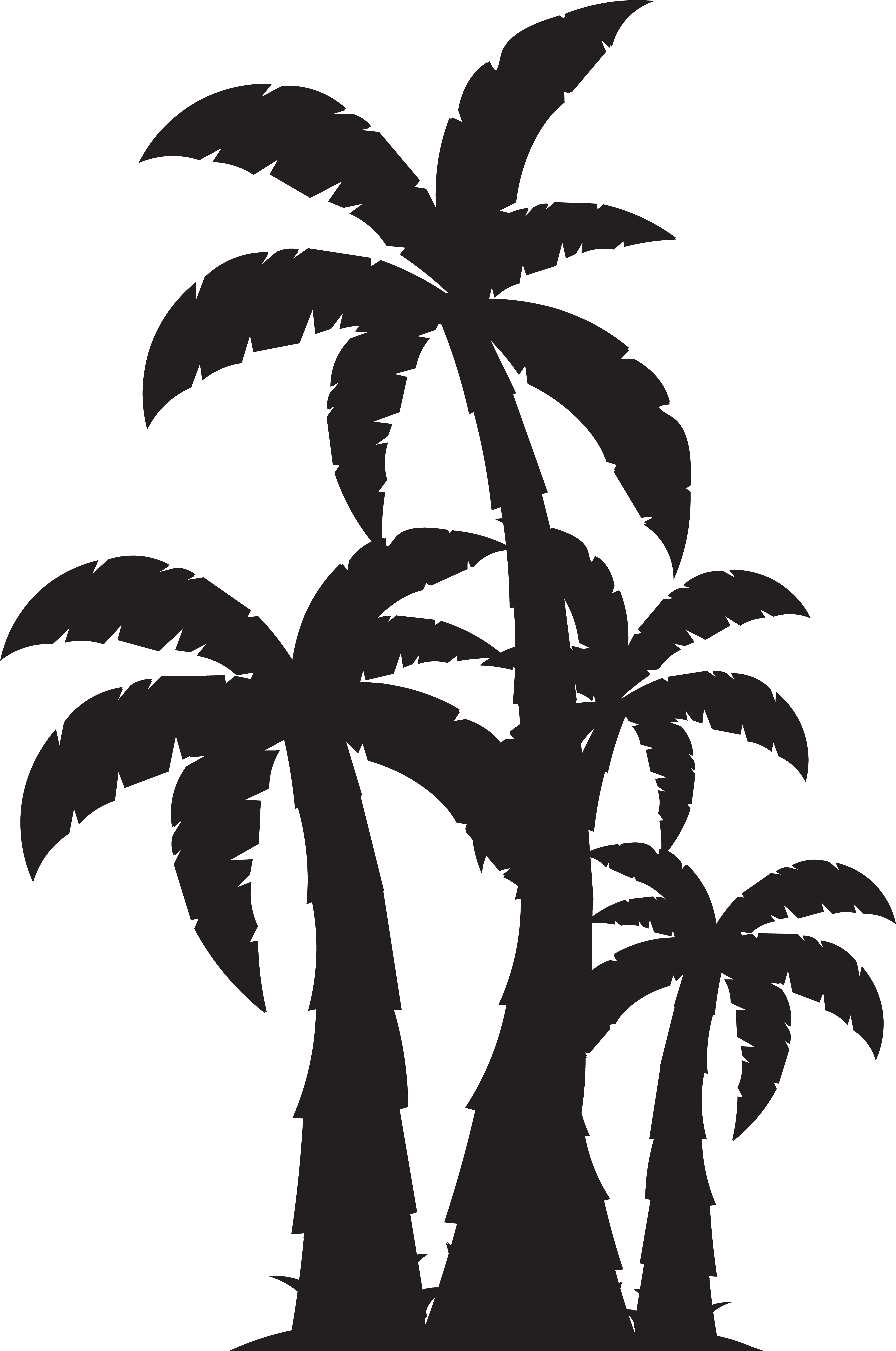 Palm Trees Silhouette Clip Art Imageu200b Gallery Yopriceville - Palm Trees Svg Free (5408x8000), Png Download