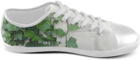 Watercolor Vines, Climbing Plant Women's Canvas Shoes - Tennis Shoe (500x500), Png Download