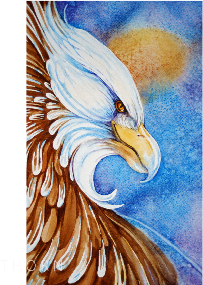Eagle (1000x1123), Png Download
