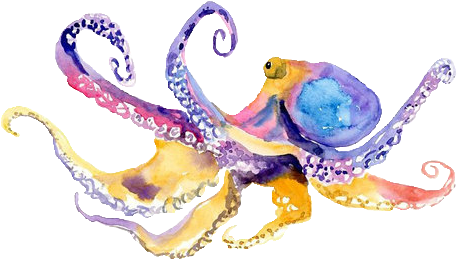Rainbow Watercolor Octopus Colorful Transparent - Octopus Greeting Card (500x394), Png Download
