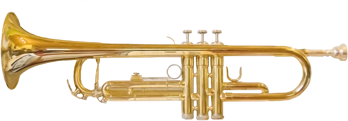 Trumpet 1 - Brass Family Trumpet (1299x431), Png Download