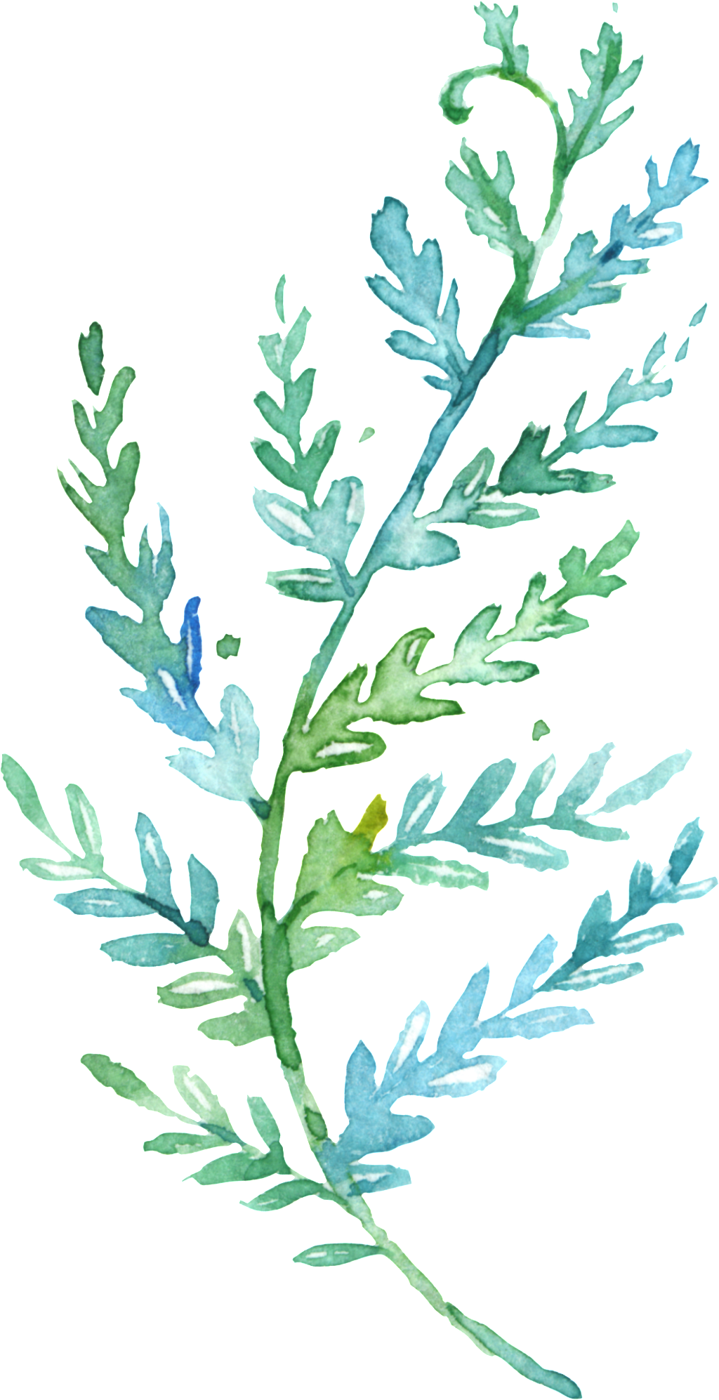 This Backgrounds Is Elegant Green Watercolor Branches - Garten-blumewatercolorwreath-hochzeits-karte Karte (1024x1994), Png Download