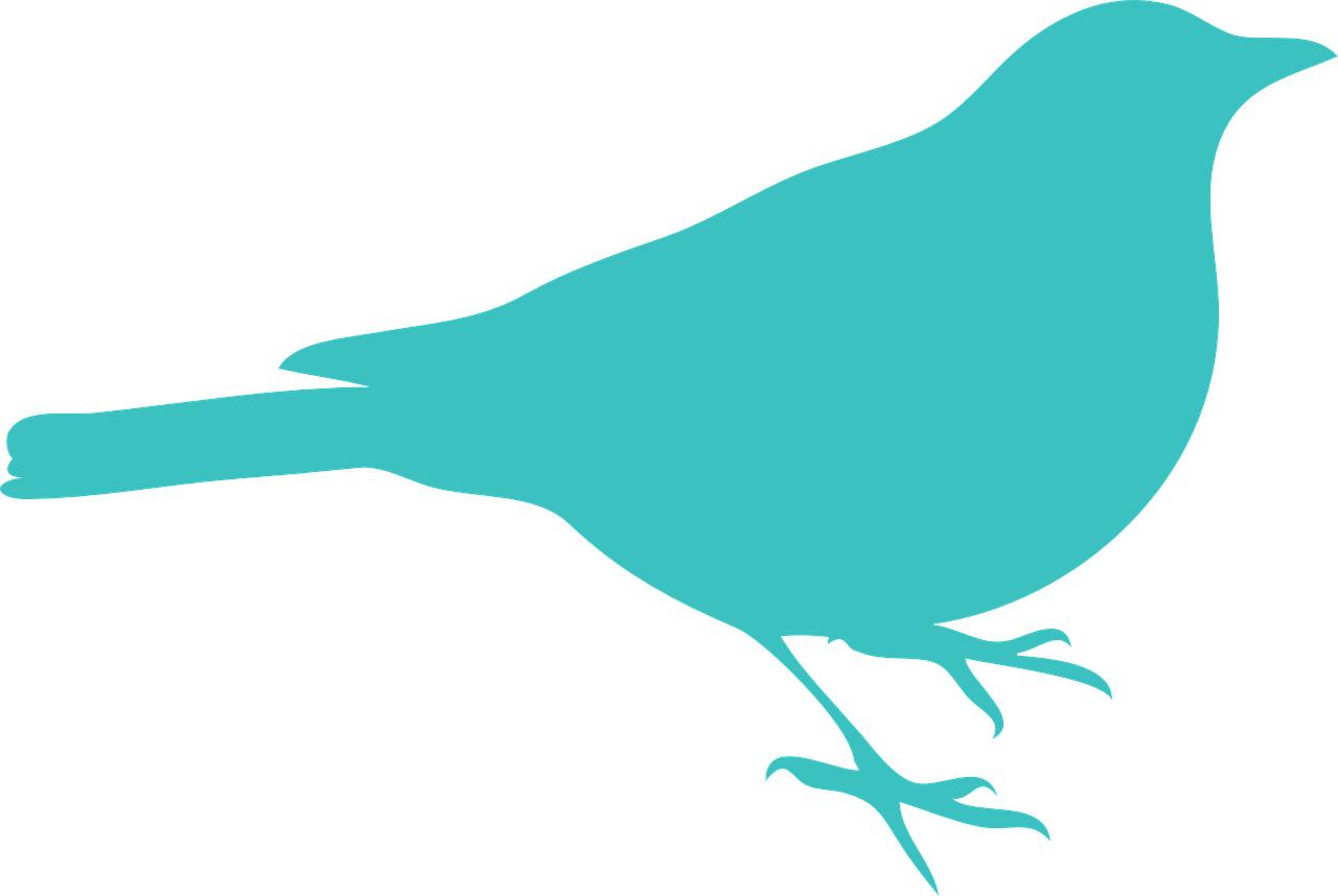 Songbird Clipart Pink Bird - Bird Is The Word Sticker (600x402), Png Download