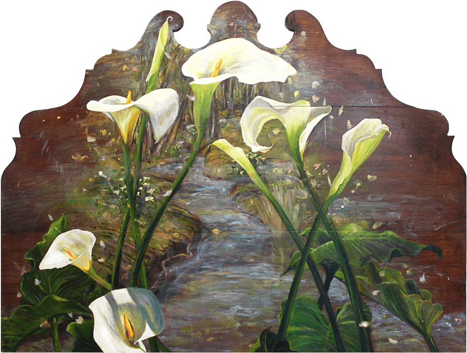 Bed - Giant White Arum Lily (1000x759), Png Download