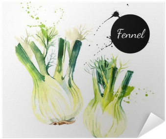 Kitchen Herbs And Spices Banner - Fenchel Gezeichnet (400x400), Png Download