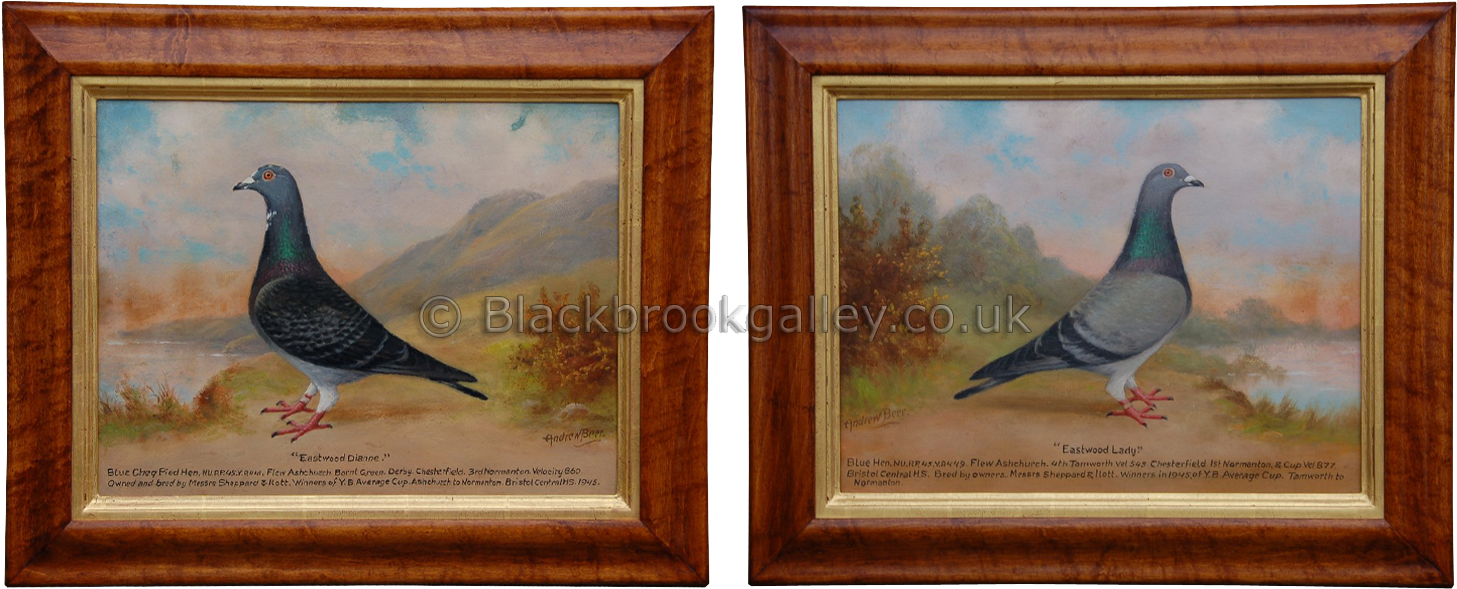 Estwood Lady' Blue Hen & 'eastwood Dianne' Blue Cheq - Picture Frame (1500x997), Png Download