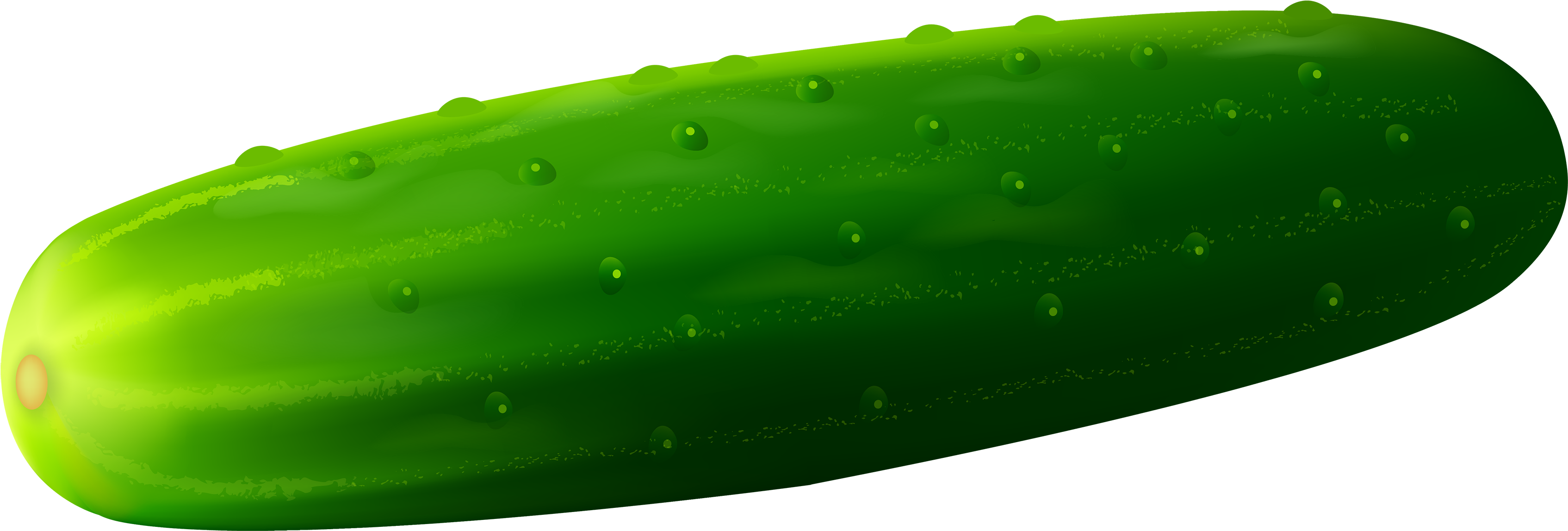 Cucumber Png Clipart - Cucumber Clipart (3500x1205), Png Download