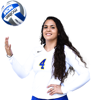 Volleyball (460x350), Png Download