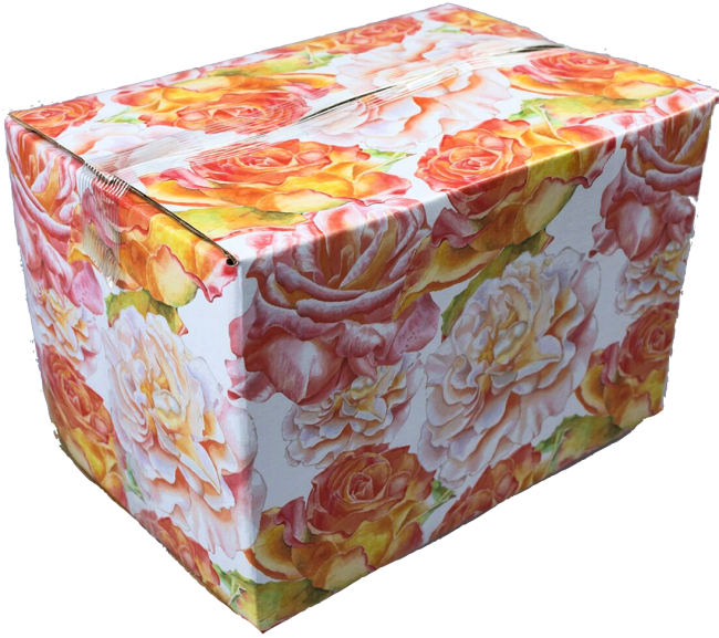 6x4x4 Blossoms Designer Boxes - (25)- 10 X 13 Water Color Flower Designer Poly Mailers (650x577), Png Download