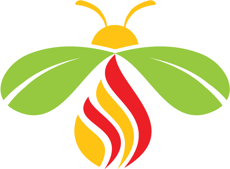 Firefly Png (880x652), Png Download