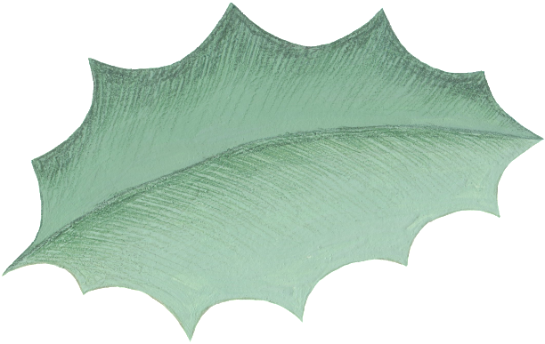 Cartoon Leaf Png Material - Umbrella (650x458), Png Download