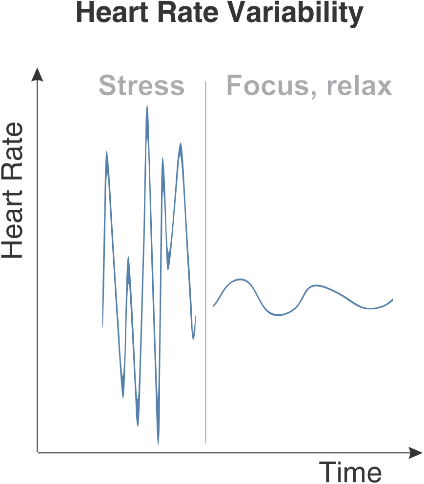 Heart Rate Variability Hrv - Calligraphy (869x992), Png Download