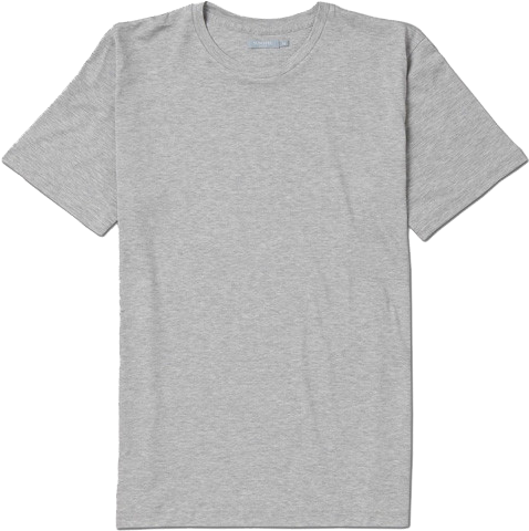 Blank Shirt Grande Grande E Copy 103a90ff 9dee 4213 - Gray T Shirt Round Neck (500x494), Png Download