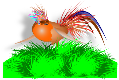 Hummingbird Chicken Water Bird Computer Icons - Clip Art (506x340), Png Download