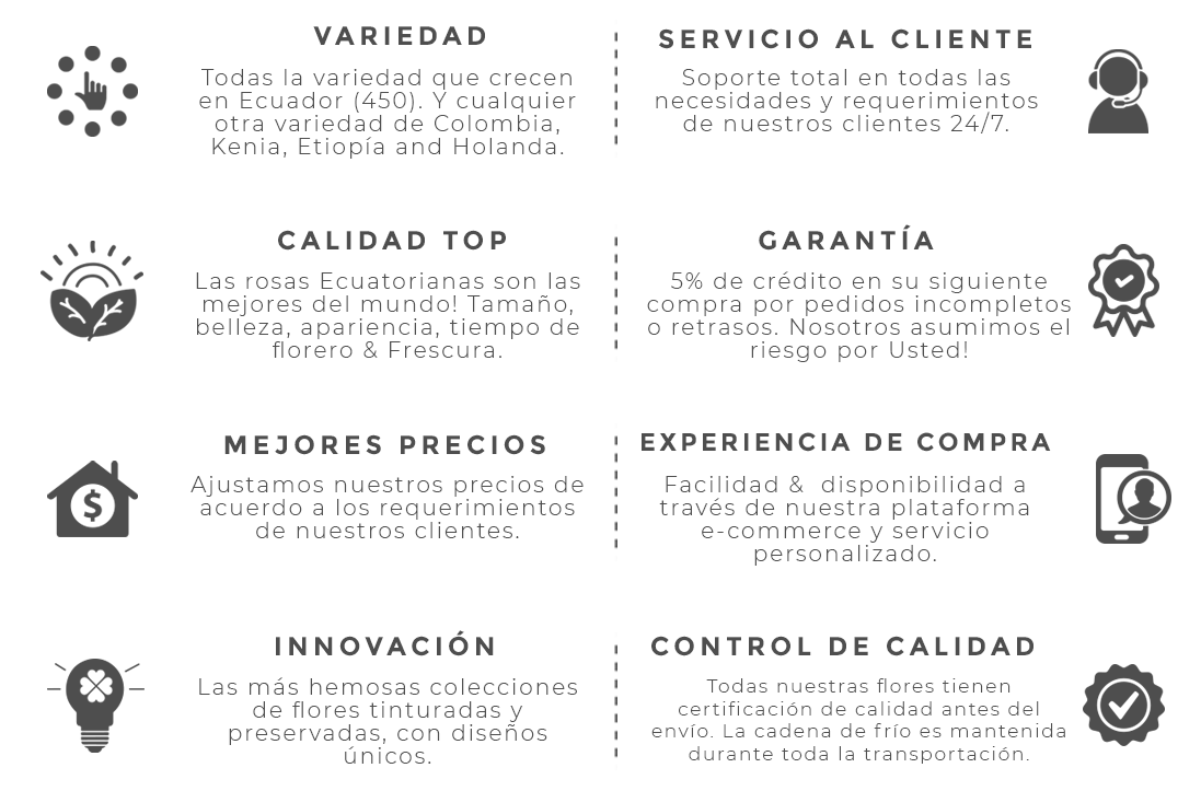 Brand Promise Español (1200x750), Png Download