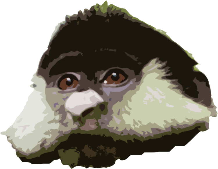Rtface (1000x687), Png Download