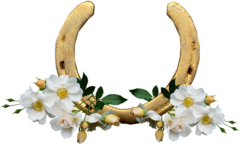 Horse Shoe, White Roses, Lucky, Wedding (796x480), Png Download