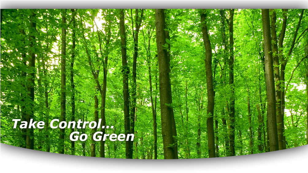 At American Pest Control, Inc (1003x648), Png Download