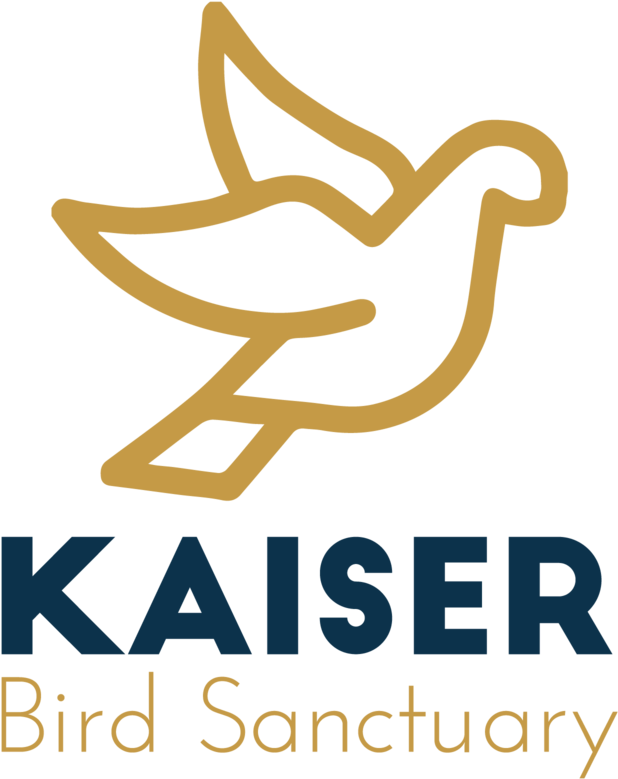 Proposal Logo 01 (1000x1000), Png Download