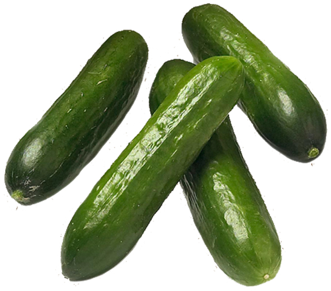 Zucchini Png (1181x1181), Png Download