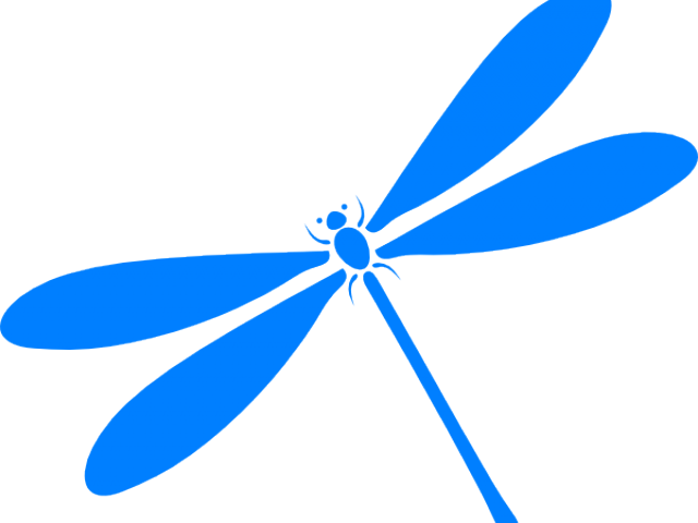 Dragon Fly Png (640x480), Png Download