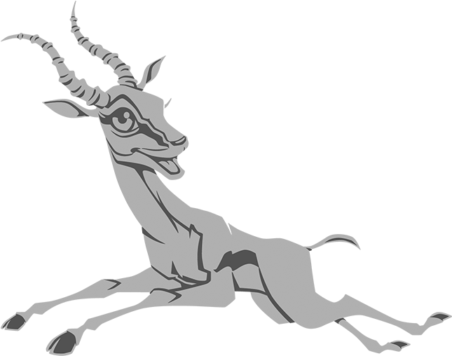 Gazelle Png (1024x576), Png Download